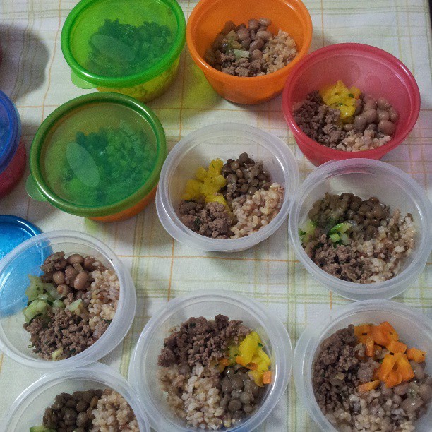 comida+bebe+10+meses